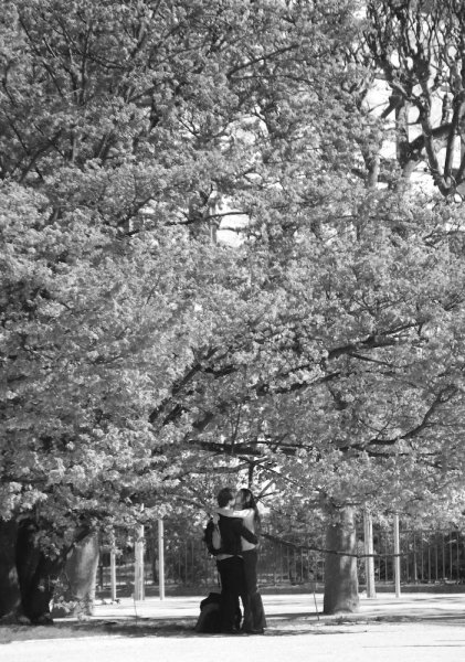 20070407-CRW_7355.jpg