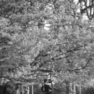 20070407-CRW_7355.jpg