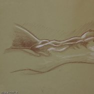 IMG_2647.jpg