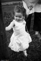 20070707-CRW_8871.jpg